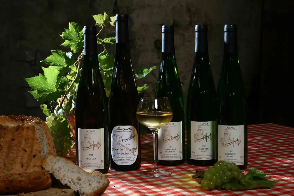 Vigneron à Orschwihr