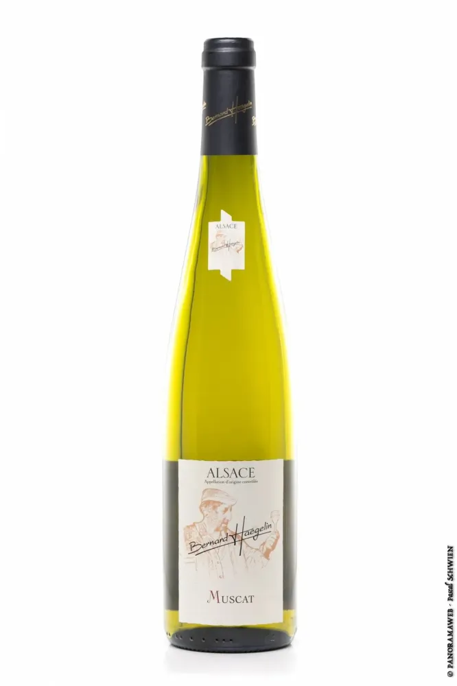 Muscat 2023 - Vin sec