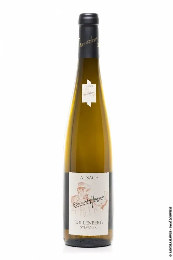 Sylvaner BOLLENBERG 2022