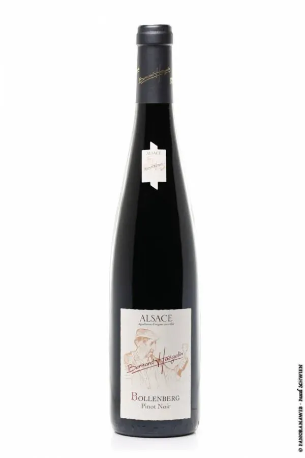 Pinot Noir BOLLENBERG 2023